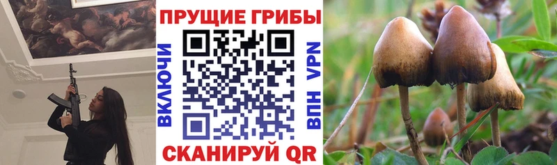Галлюциногенные грибы прущие грибы Невьянск