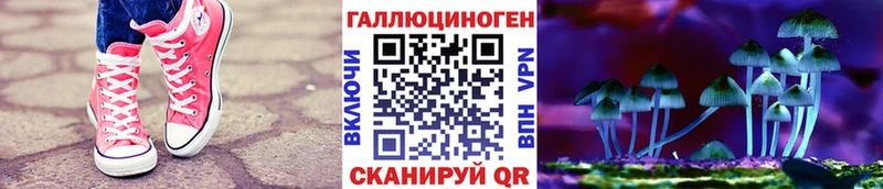 где купить наркоту  Невьянск  Галлюциногенные грибы прущие грибы 